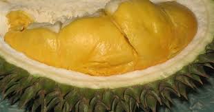 homemade durian steamed buns 蒸榴莲馒头 singapore food food durian