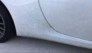 He seems to have his head screwed on straight and he's a focused, extremely. How To Remove Tar Bugs Tree Sap From Your Car Edsc