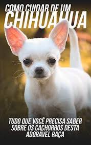 We did not find results for: Como Cuidar De Um Chihuahua Tudo Que Voce Precisa Saber Sobre Os Cachorros Desta Adoravel Raca Portuguese Edition Ebook Dsf Editora Amazon De Kindle Shop