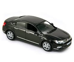 Image result for Brun Guaranja 2011 Citroen