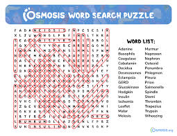 It was the 49th state to join the u. Osmosis Brain Exercises