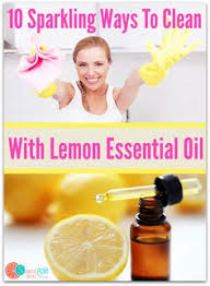 Use 4 drops of any purchased oil control treatment method with the use of essential oils will protect your house, yard or garden effectively from future termite infestations. 150 Essential Oils For Home And Garden Natural Cleaning Pest Control And More Ideas Oils Essential Oils Natural Cleaning Products