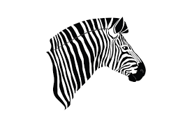 Download Zebra Svg Cut File By Creative Fabrica Crafts Creative Fabrica PSD Mockup Templates