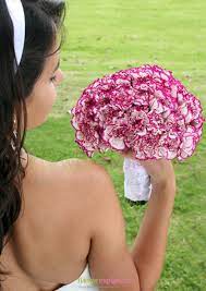 Check spelling or type a new query. Essential Carnations Collection