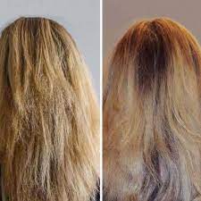 sie reibt kokosnussol in ihre haare zwei wochen spater erkennt sie sich selbst nicht wieder drndex com kokosol haare trockene haare haare aufhellen