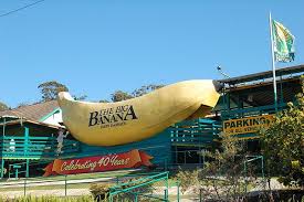 Pin On Did You Come From A Land Down Under