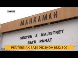 Vieta žemėlapyje mahkamah majistret batu pahat. Penternak Babi Didenda Rm2 500 Youtube
