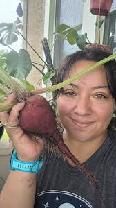 Do you pickle beets and eggs?