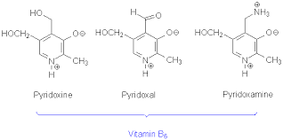 vitamins study material for iit jee askiitians