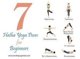 clical hatha yoga poses for beginners