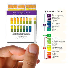 ph test strips 120ct