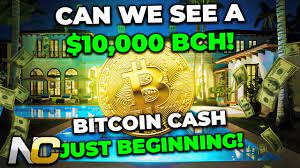 Anthony scaramucci, the founder of skybridge capital, said he believes the bitcoin (btc) price is going to reach $100,000 by the end of the year. Will Bch Hit 10k This Bull Run Bitcoin Cash Just Beginning Youtube