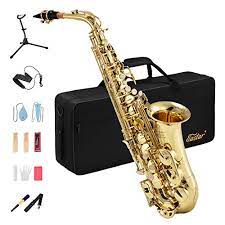 As we mentioned above, alto is the most common one, so its size fits everybody and you may have interested in some of the saxophone above, but selmer sas280 la voix ii is also one of the best professional alto saxophone that you. 10 Best Alto Saxophone Review Of 2021 Music Critic