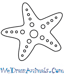 Unlike fish, they do not have gills, fins, or scales. How To Draw A Simple Starfish For Kids