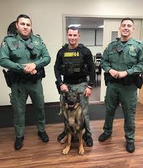 Pin By Luiz Carlos On Live Pd Men In Uniform Military Dogs Police Dogs