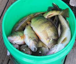 Next, select a water bucket in your hotbar so that you are holding it in your hand. Gift Ideas For People That Love To Fish Boat Lovers Direct