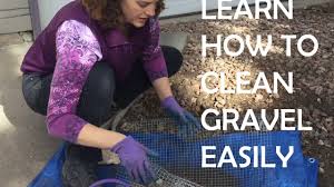 We did not find results for: How To Clean Dirt Leaves And Pine Needles Out Of Decorative Gravel And Landscape Rocks Youtube