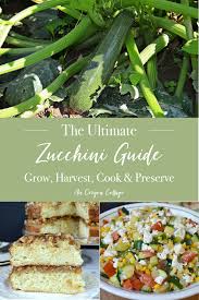 I was pleasantly surprised when i finally made the trip to down town portland to tour the lan su chinese garden! The Ultimate Zucchini Guide Grow Harvest Cook Preserve With 46 Recipes An Oregon Cottage