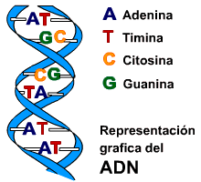 Imagen relacionada