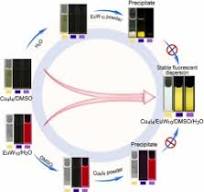 Dispersing hydrophobic copper nanoclusters in aqueous ...