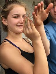 In the Classroom Archives