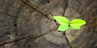 If you have applied to the hope program or received assistance from the hope program in the past, you should receive an email with a link to reapply soon. Finding Hope In Difficult Times Faith Island