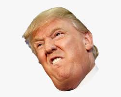 This has been one of the mysteries of the 2016 presidential campaign. Angry Side Face Trump Donald Trump Face Transparent Hd Png Download Transparent Png Image Pngitem