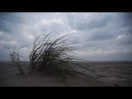 Seaside Hd Relaxing Nature Background Music Video Loop 528hz Tuning Youtube Nature Backgrounds Relaxing Music Nature
