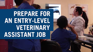 Does this sound like your type of gig? Veterinary Assistant School Vancouver And Oxnard