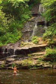 A cascading whitewater stream flowing out of the great smoky mountains national park. Pin By Taun Brewer On Hiking Places To Travel Places To Go Places To See