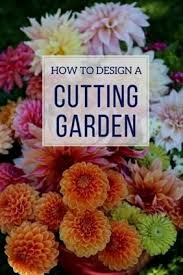 Pin On Gardening Cut Flower Garden
