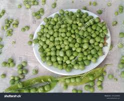 Image result for Pisum