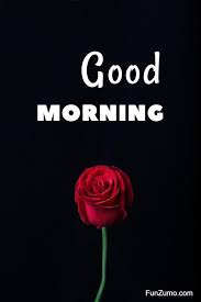 Good morning flowers quotes for her. 35 Best Good Morning Flowers Images Funzumo