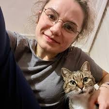 Cat sitting Valkenswaard