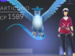 In order to catch articuno, first you need to participate in a legendary raid where articuno is the raid boss. Some Pokemon Go Players Accidentally Ended Up With Legendary Pokemon Polygon