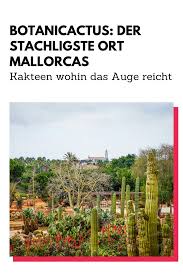 Eine Kaktus Farm Auf Mallorca Der Botanicactus Ist Ein Wahres Paradies Fur Liebhaber Exotischer Pflanzen Bei Ses S Mallorca Exotische Pflanzen Mallorca Reisen