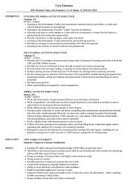 Major account executive healthcare resume examples & samples develops and implements sales plans for assigned portfolios, including clearly defined strategies that maximize revenue opportunities of new clients responsible for the account management and upsell of named accounts as assigned Media Account Executive Resume Samples Velvet Jobs