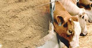 Senasa aprueba requisitos sanitarios para importación de harina de carne y hueso  bovino