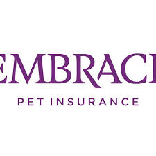 Pet insurance covers unexpected injuries from accidents and illnesses. 7 Best Pet Insurance Companies 2020 The Strategist