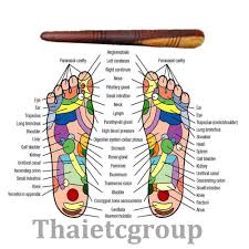 Fly Eagle 1 X Reflexology Health Thai Foot Massage Wooden Stick Tool Free Shipping With Chart
