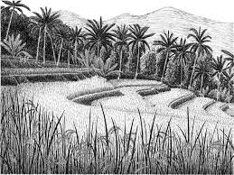 Logos shows world perspective