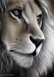 26 Stunning Drawings Of Animals Made From Pencil And Paper Lion Art Drawing Projects Animal Drawings