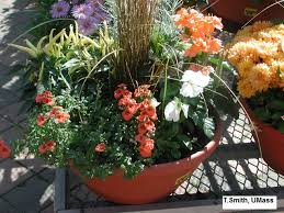 Maybe you would like to learn more about one of these? Home Lawn Garden Colorful Container Gardens Umass Center For Agriculture Food And The Environment