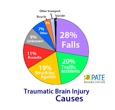 Traumatic Brain Injury And Severity Of Tbi
