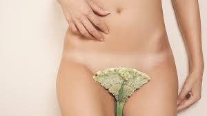 Soften your hair and hair follicles by taking a hot shower or bath. Purpose Of Pubic Hair 9 Faqs About Benefits Risks And Safe Removal