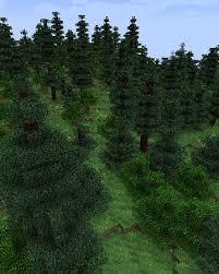 Biomes O Plenty Wiki Biome List Spruce Woods Biomes O Plenty Wiki Fandom In 2020 Dry River Snowy Forest Boreal Forest