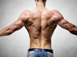 Free program pdf 12 week. Home Back Workout To Increase Back Strength And Width A Lean Life