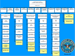 79 Competent Osd Policy Org Chart