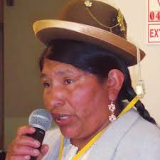 Original Survey Demographics-Age.