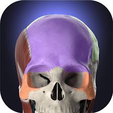 تعلم علم التشريح البشري بشكل تفاعلي! Complete Anatomy 2022 Apps On Google Play